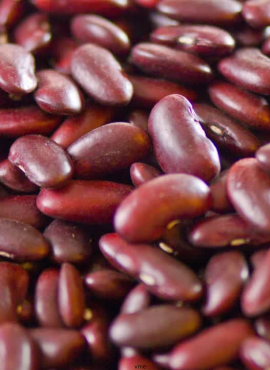 Rajma