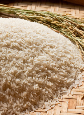 Rice