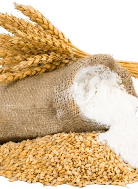 Wheat and flour